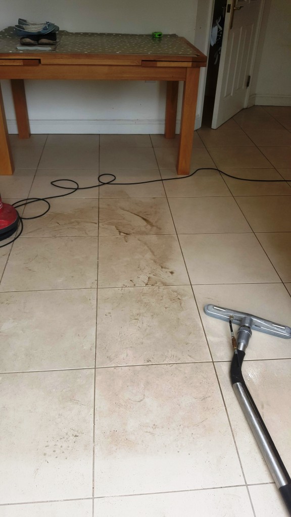 Textured Porcelain Tile Cleaning in Chelmsford