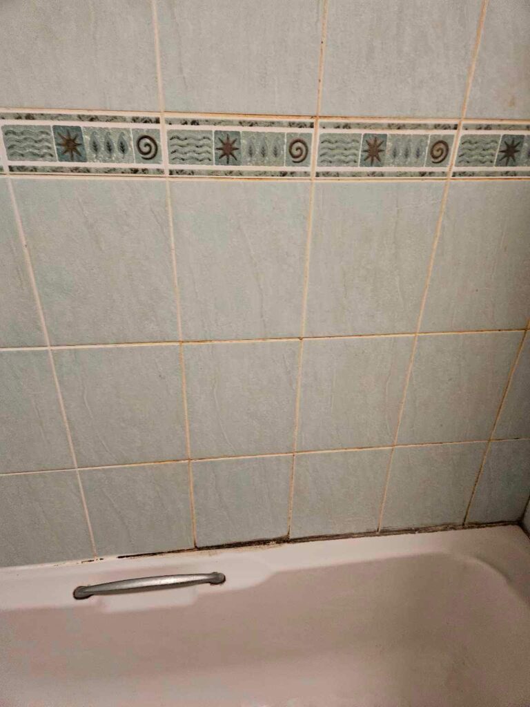 Ceramic Bath Tile and Grout Before Cleaning Colchester